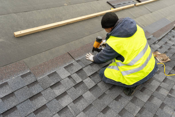 Best Roof Repair Services  in Chisholm, MN