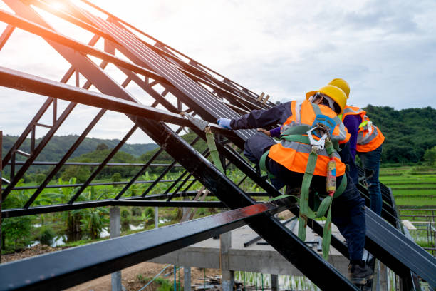 Best Roof Waterproofing Services  in Chisholm, MN