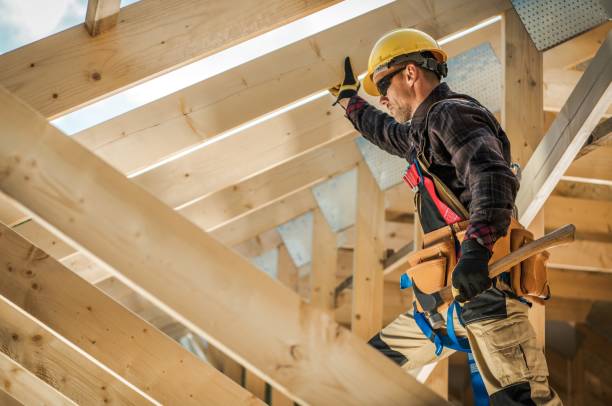 Best Flat Roof Repair Services  in Chisholm, MN