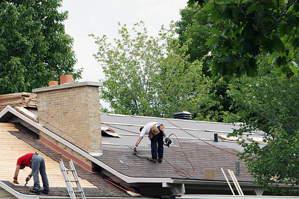Best Residential Roofing Contractor  in Chisholm, MN