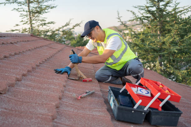 Best Roof Replacement Cost  in Chisholm, MN