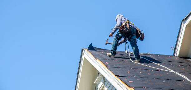 Best Emergency Roof Repair  in Chisholm, MN